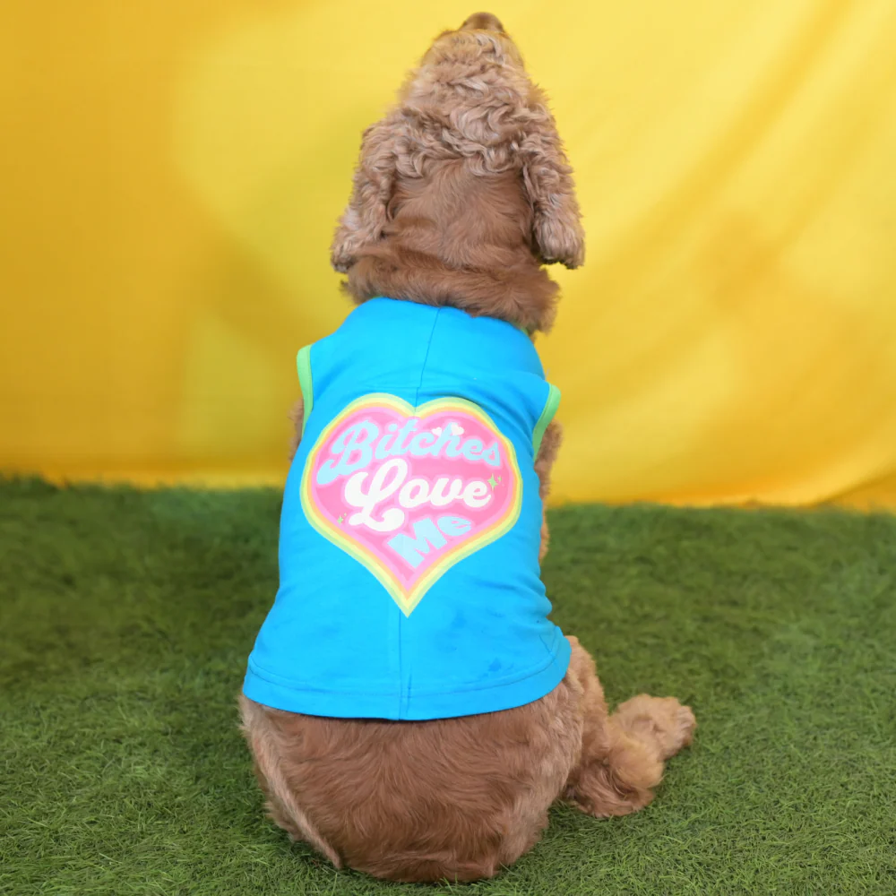 Skatrs Bitches Love Me Printed Summer Cotton T Shirt for Dogs and Cats (Blue) - Image 2