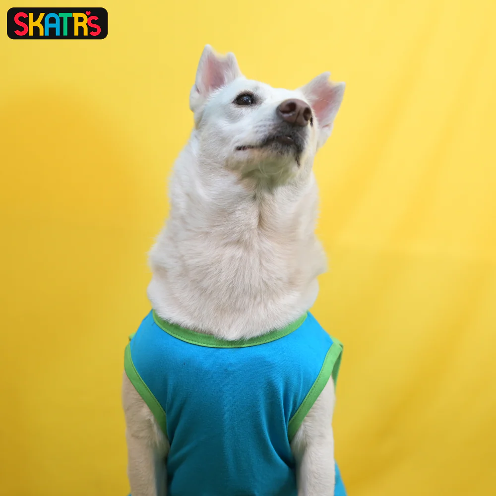Skatrs Bitches Love Me Printed Summer Cotton T Shirt for Dogs and Cats (Blue) - Image 4