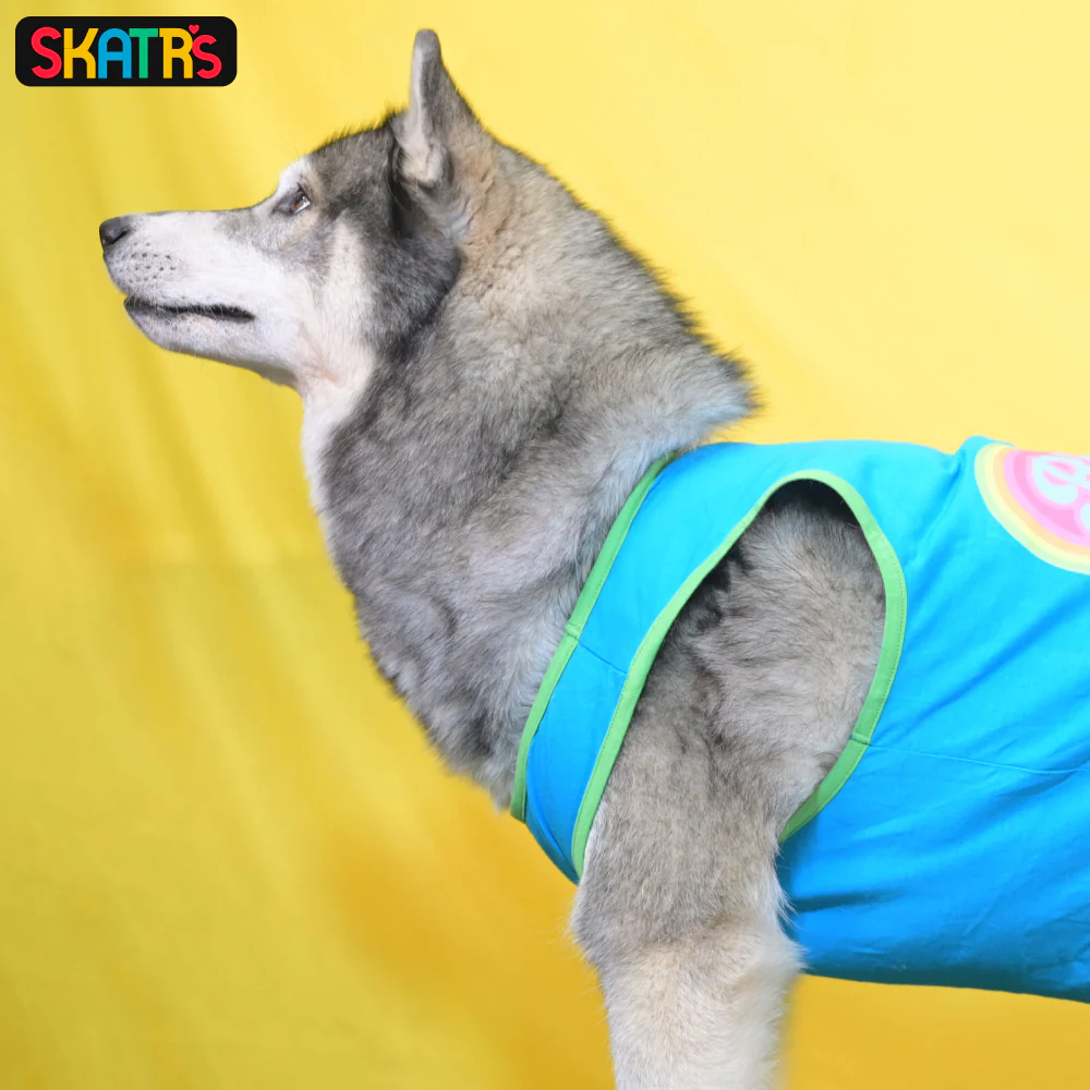 Skatrs Bitches Love Me Printed Summer Cotton T Shirt for Dogs and Cats (Blue) - Image 5
