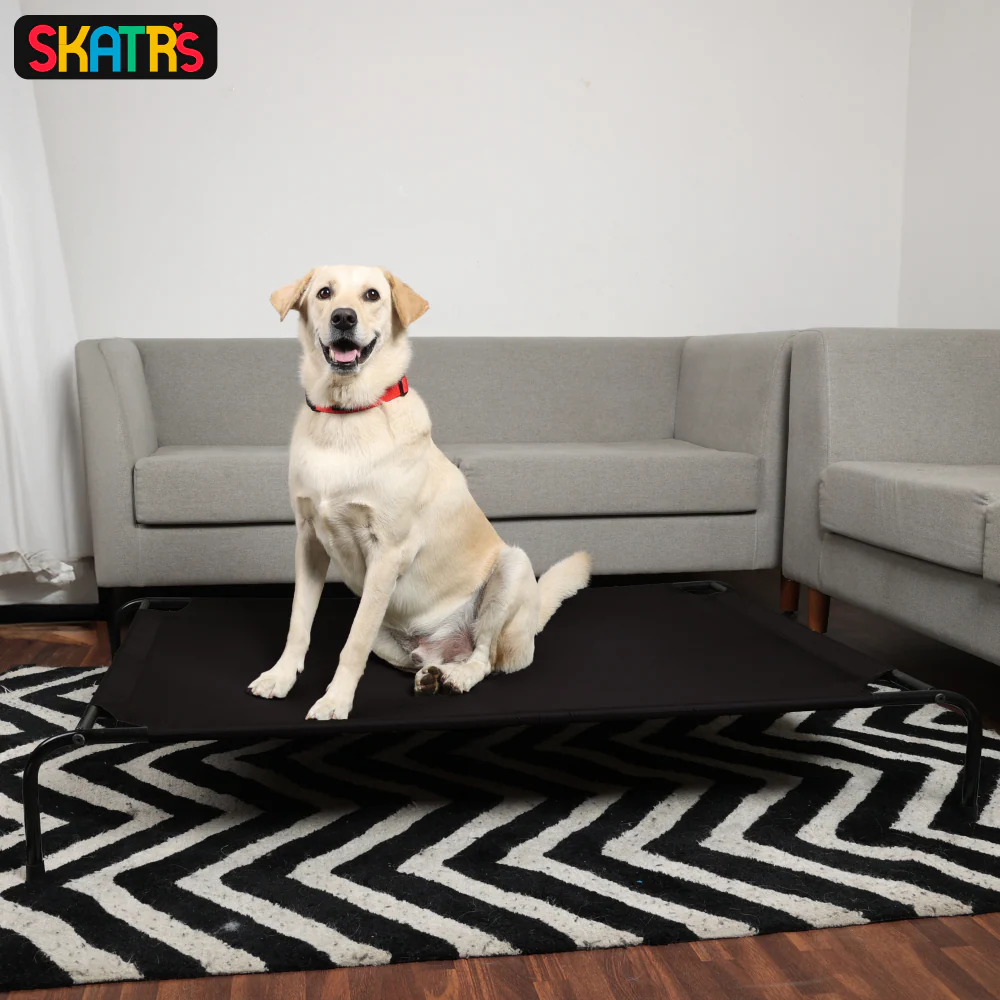 Skatrs Black Elevated Bed & Barkbutler x Fofos Glove Plush Fox Toy Dog Combo - Image 3