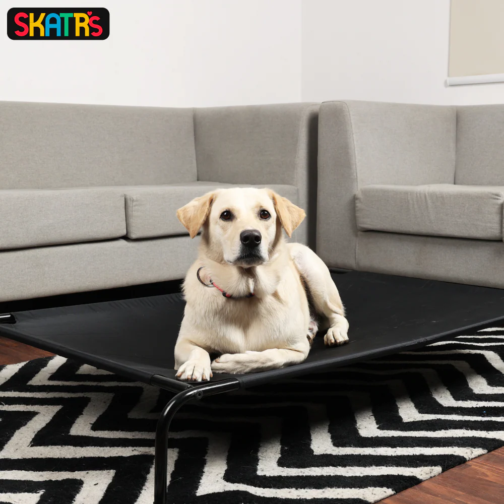 Skatrs Black Elevated Bed & Barkbutler x Fofos Glove Plush Fox Toy Dog Combo - Image 5