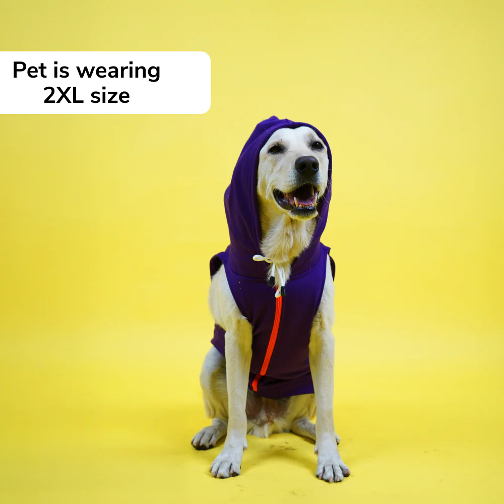 Skatrs Blaze Breezy Hoodies with Pockets for Dogs and Cats (Violet) - Image 7