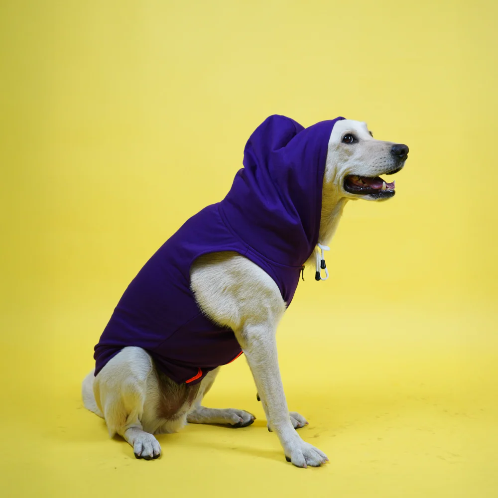 Skatrs Blaze Breezy Hoodies with Pockets for Dogs and Cats (Violet) - Image 9