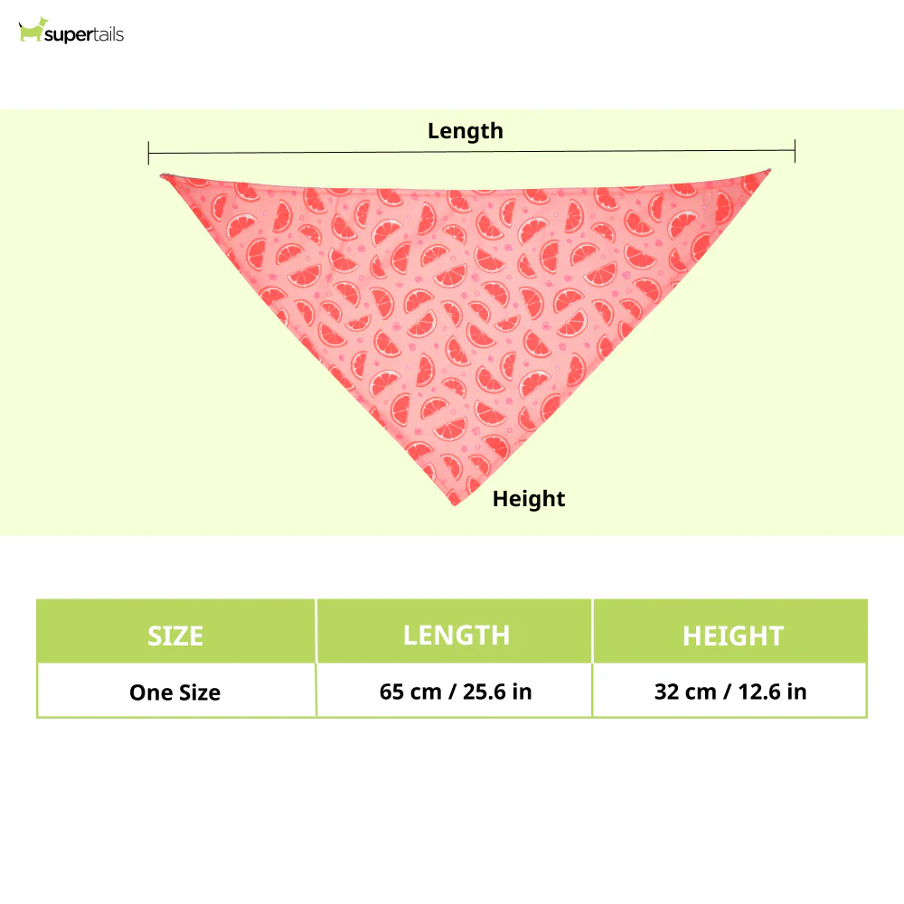 Skatrs Bandana for Dogs Fashionable and Fun (Pink) - Image 2