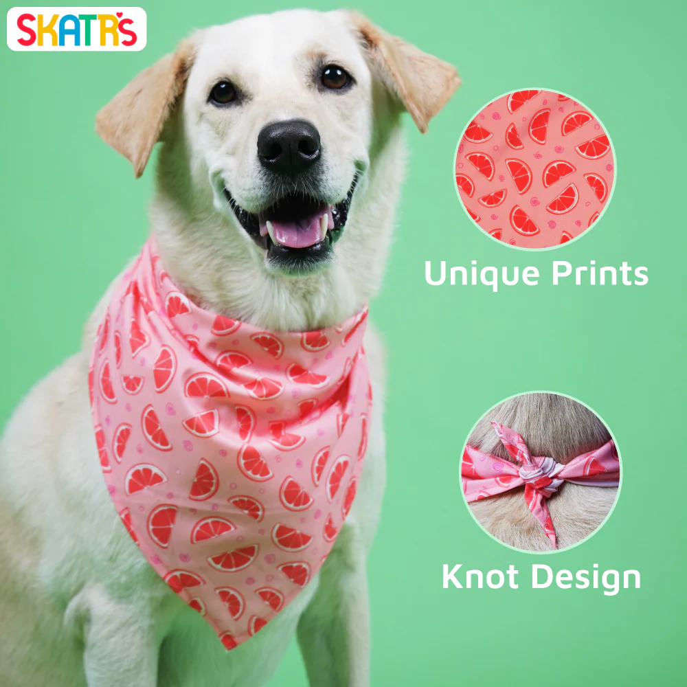 Skatrs Bandana for Dogs Fashionable and Fun (Pink) - Image 3