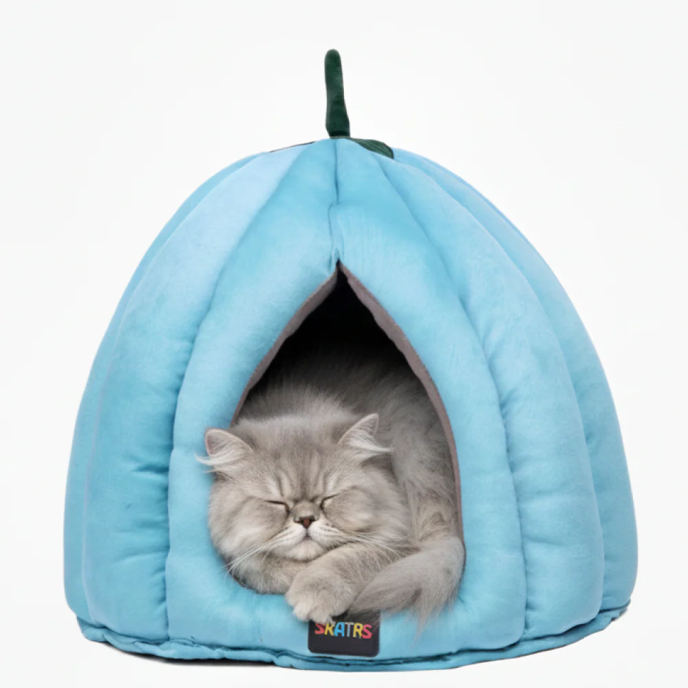 Skatrs Blueberry Dreamy House for Cats and Small Dogs - Image 2