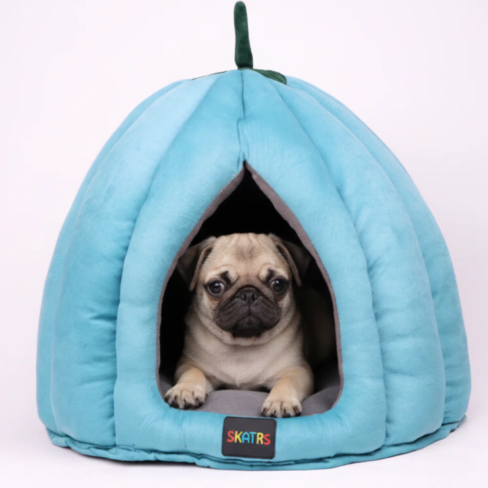 Skatrs Blueberry Dreamy House for Cats and Small Dogs - Image 3