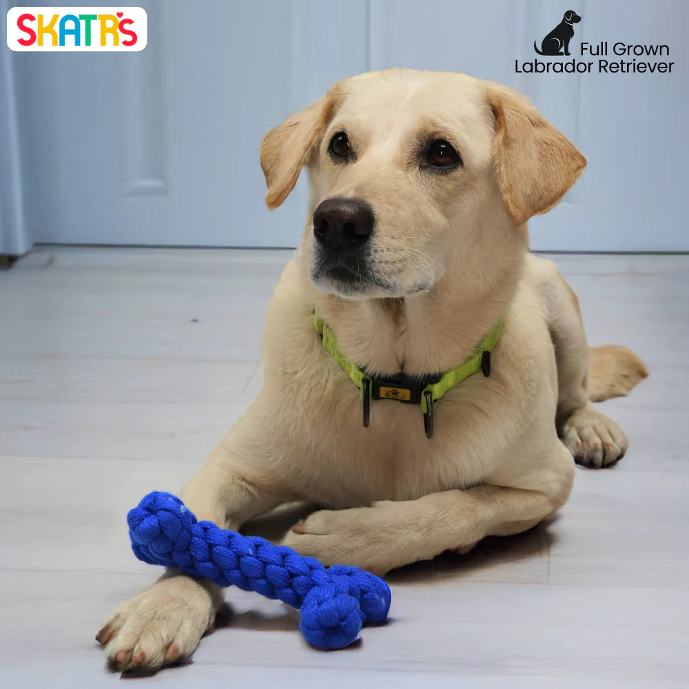 Skatrs Bone Shaped Rope Chew Toy for Dogs and Cats (Royal Blue) - Image 5