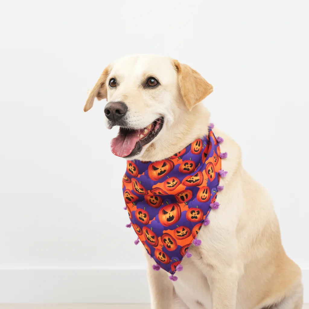 Skatrs Boo tiful Reversible Halloween Bandana for Dogs - Image 3