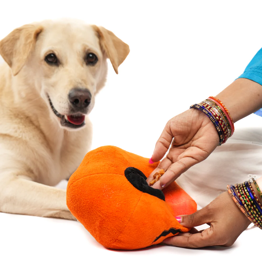 Skatrs Bootiful Pumpkin Plus Toy for Dogs - Image 6