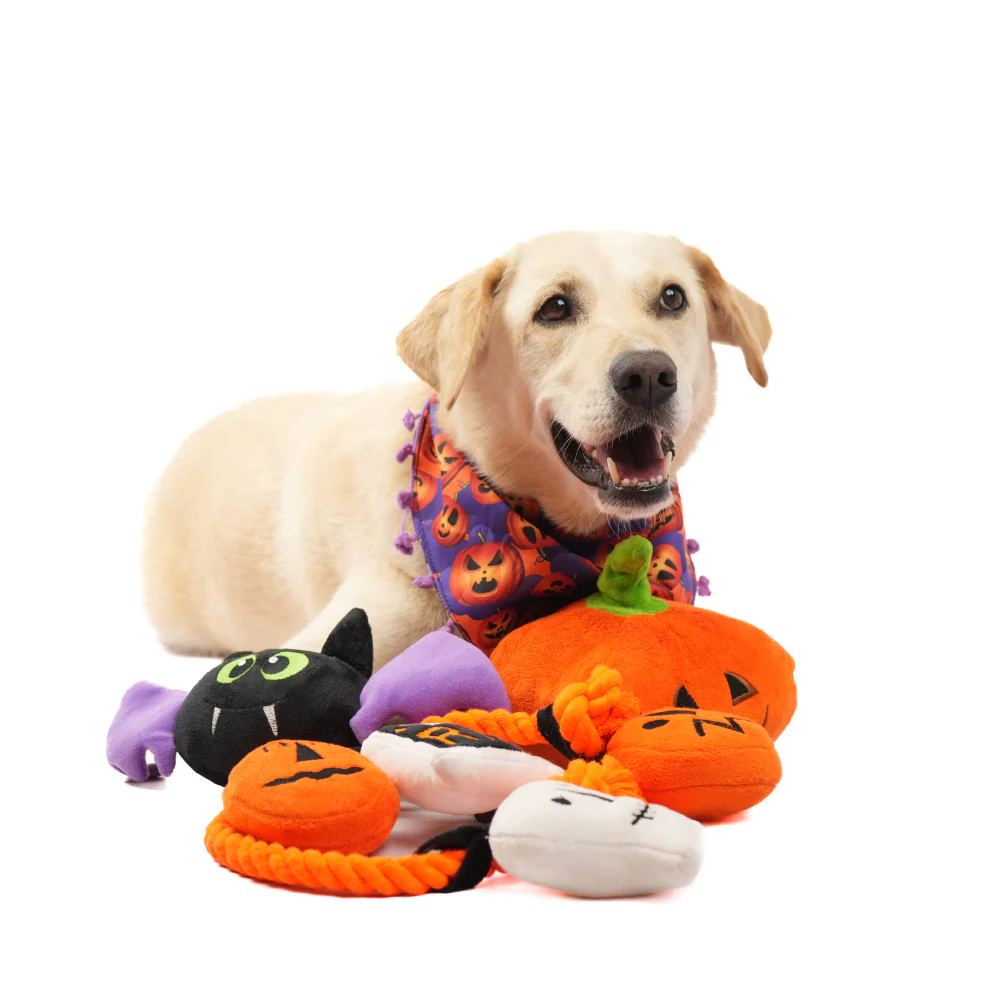 Skatrs Bootiful Pumpkin Plus Toy for Dogs - Image 7