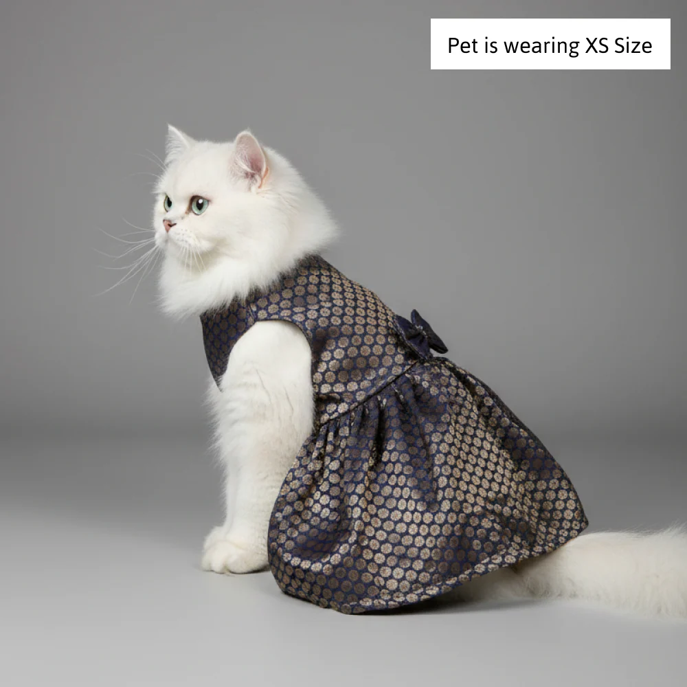 Skatrs Brocade Gold Printed Dress for Dogs and Cats (Blue) - Image 3