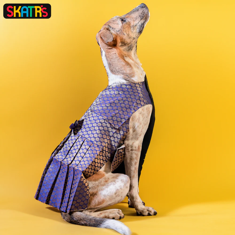 Skatrs Brocade Gold Printed Dress for Dogs and Cats (Blue) - Image 6