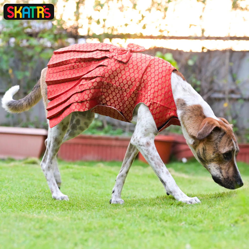 Skatrs Brocade Gold Printed Dress for Dogs and Cats (Red) - Image 3