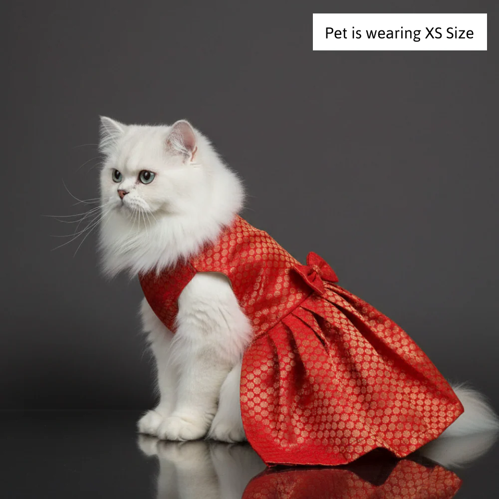Skatrs Brocade Gold Printed Dress for Dogs and Cats (Red) - Image 4