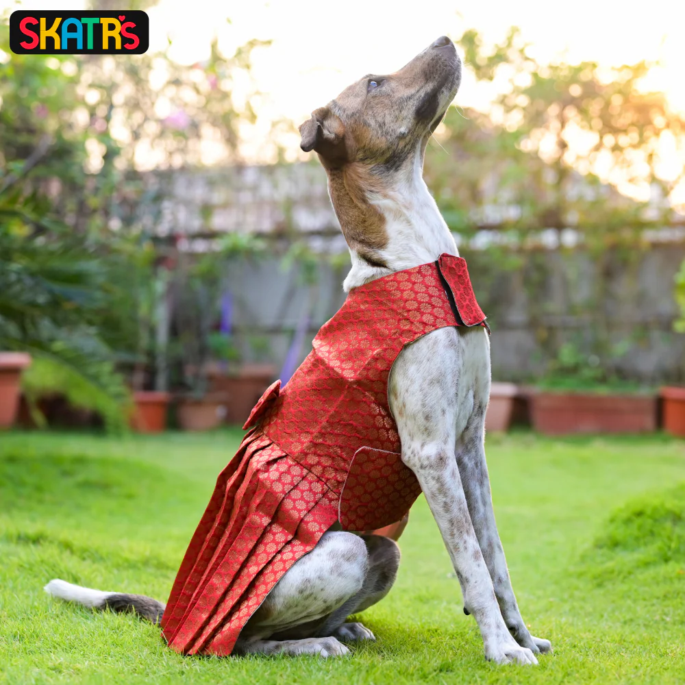 Skatrs Brocade Gold Printed Dress for Dogs and Cats (Red) - Image 6
