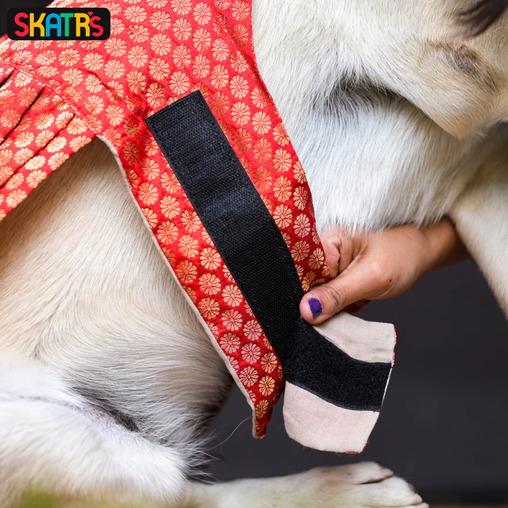 Skatrs Brocade Gold Printed Dress for Dogs and Cats (Red) - Image 7