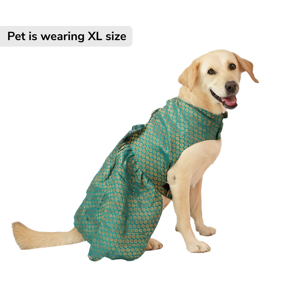 Skatrs Brocade Gold Printed Dress for Dogs and Cats (Teal) - Image 3