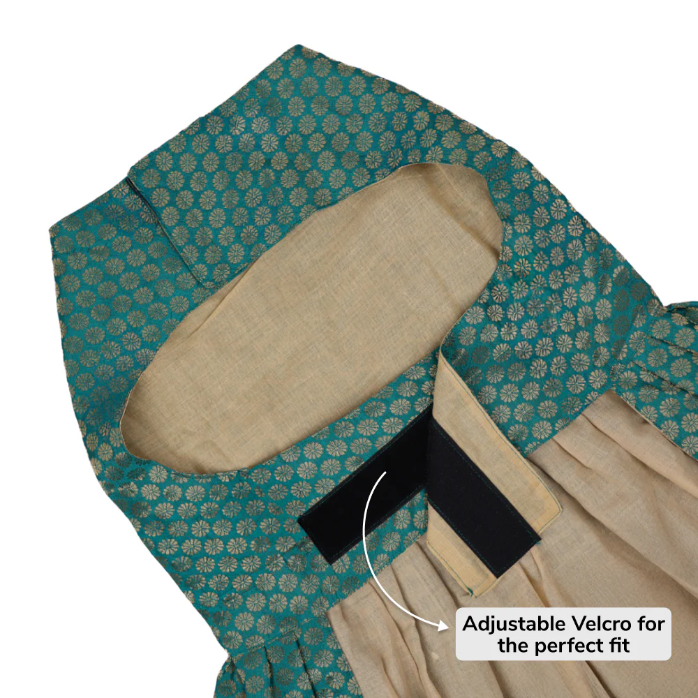 Skatrs Brocade Gold Printed Dress for Dogs and Cats (Teal) - Image 4
