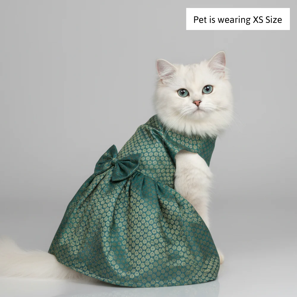 Skatrs Brocade Gold Printed Dress for Dogs and Cats (Teal) - Image 5