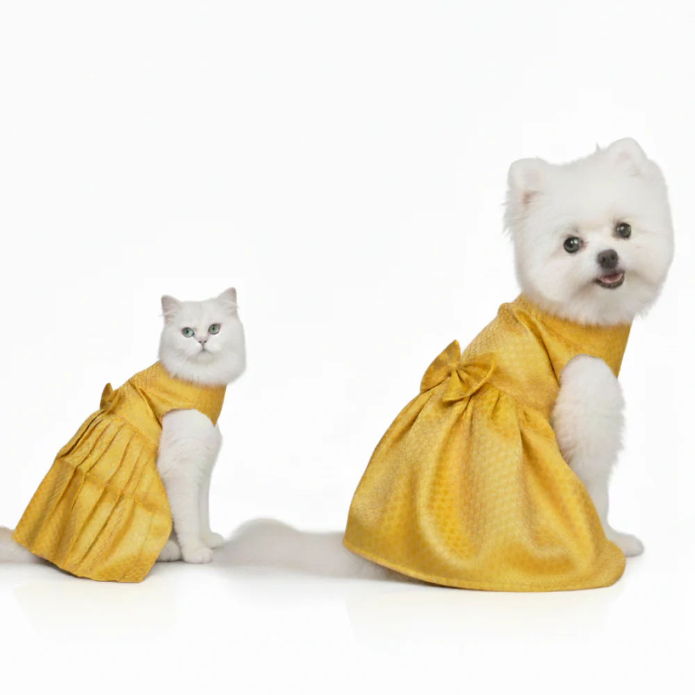 Skatrs Brocade Gold Printed Dress for Dogs and Cats (Yellow) - Image 10