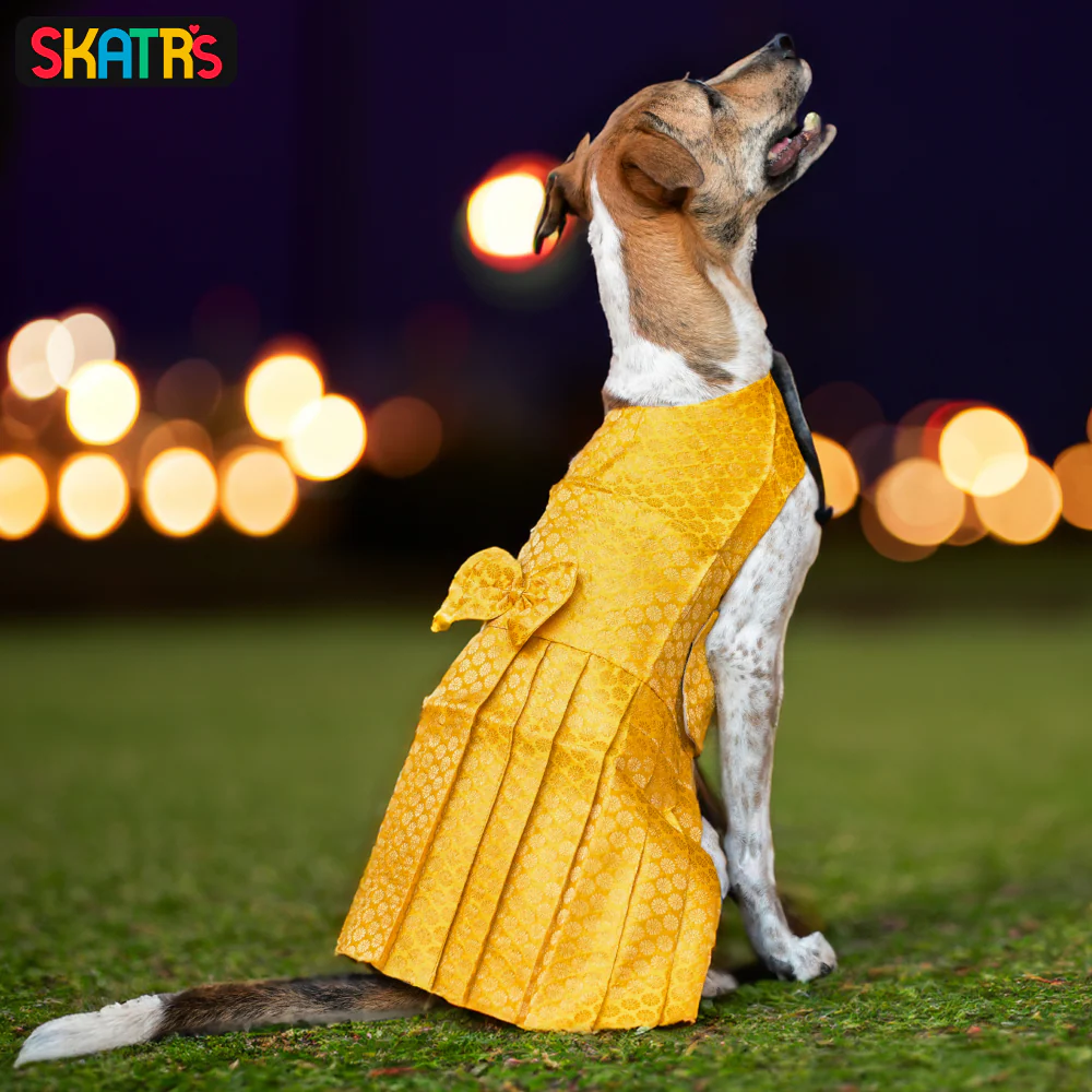 Skatrs Brocade Gold Printed Dress for Dogs and Cats (Yellow) - Image 4