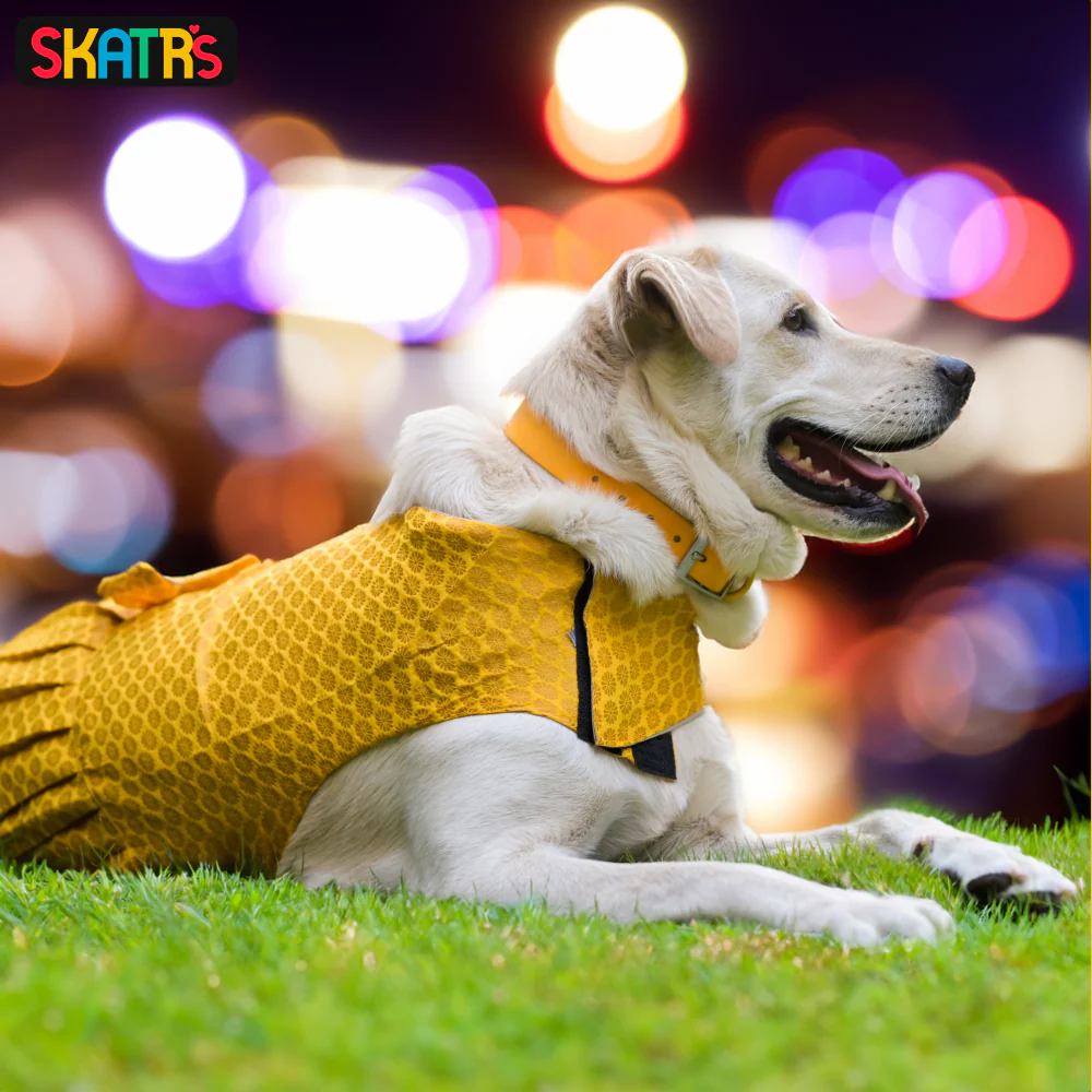 Skatrs Brocade Gold Printed Dress for Dogs and Cats (Yellow) - Image 5