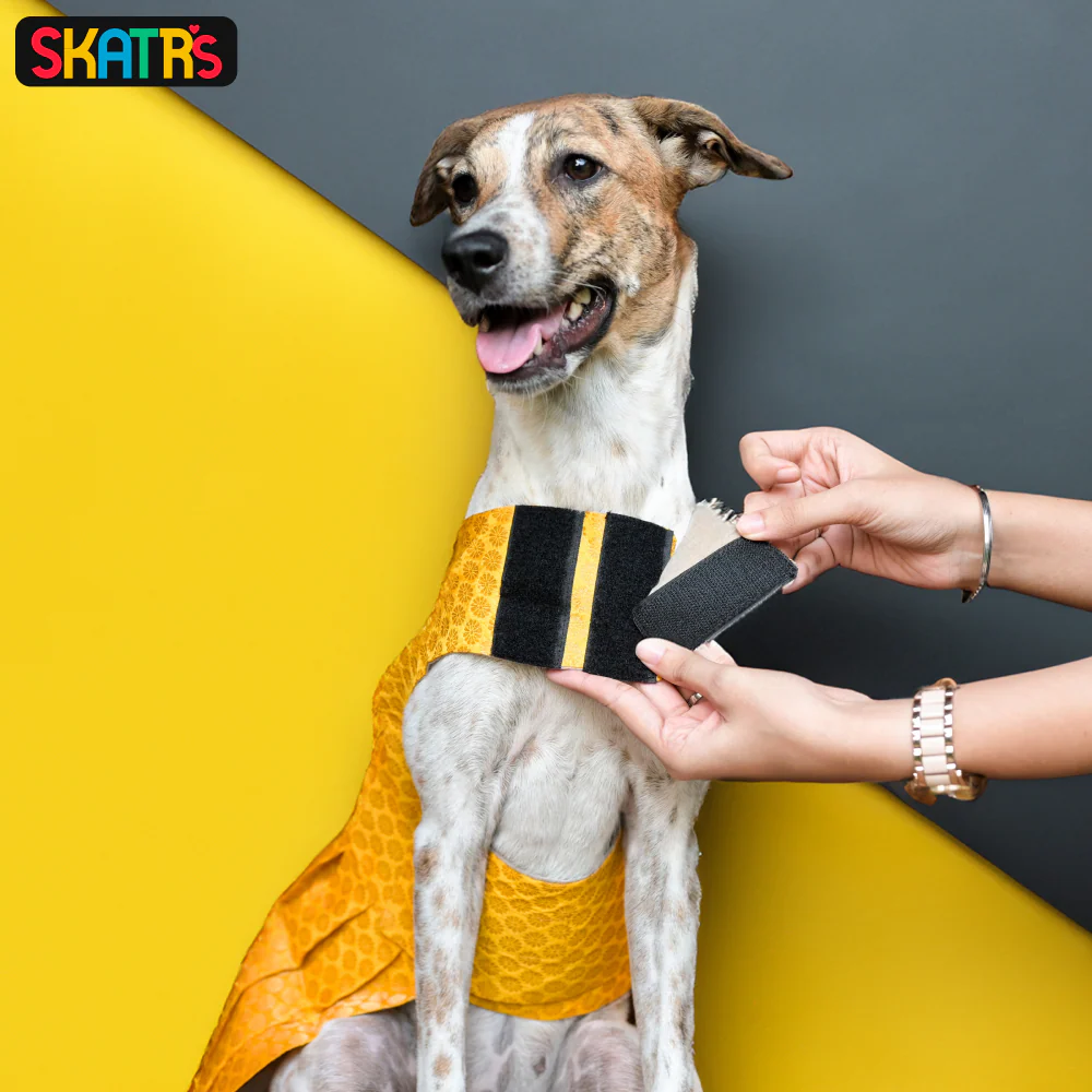 Skatrs Brocade Gold Printed Dress for Dogs and Cats (Yellow) - Image 6