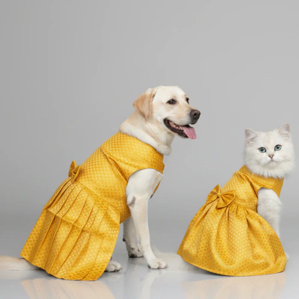 Skatrs Brocade Gold Printed Dress for Dogs and Cats (Yellow) - Image 9