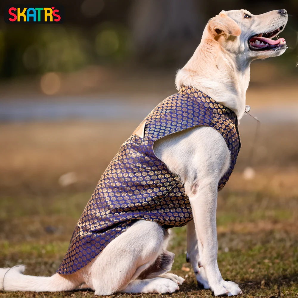 Skatrs Brocade Gold Printed Sherwani for Dogs and Cats (Blue) - Image 5