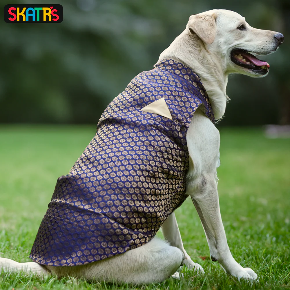 Skatrs Brocade Gold Printed Sherwani for Dogs and Cats (Blue) - Image 6
