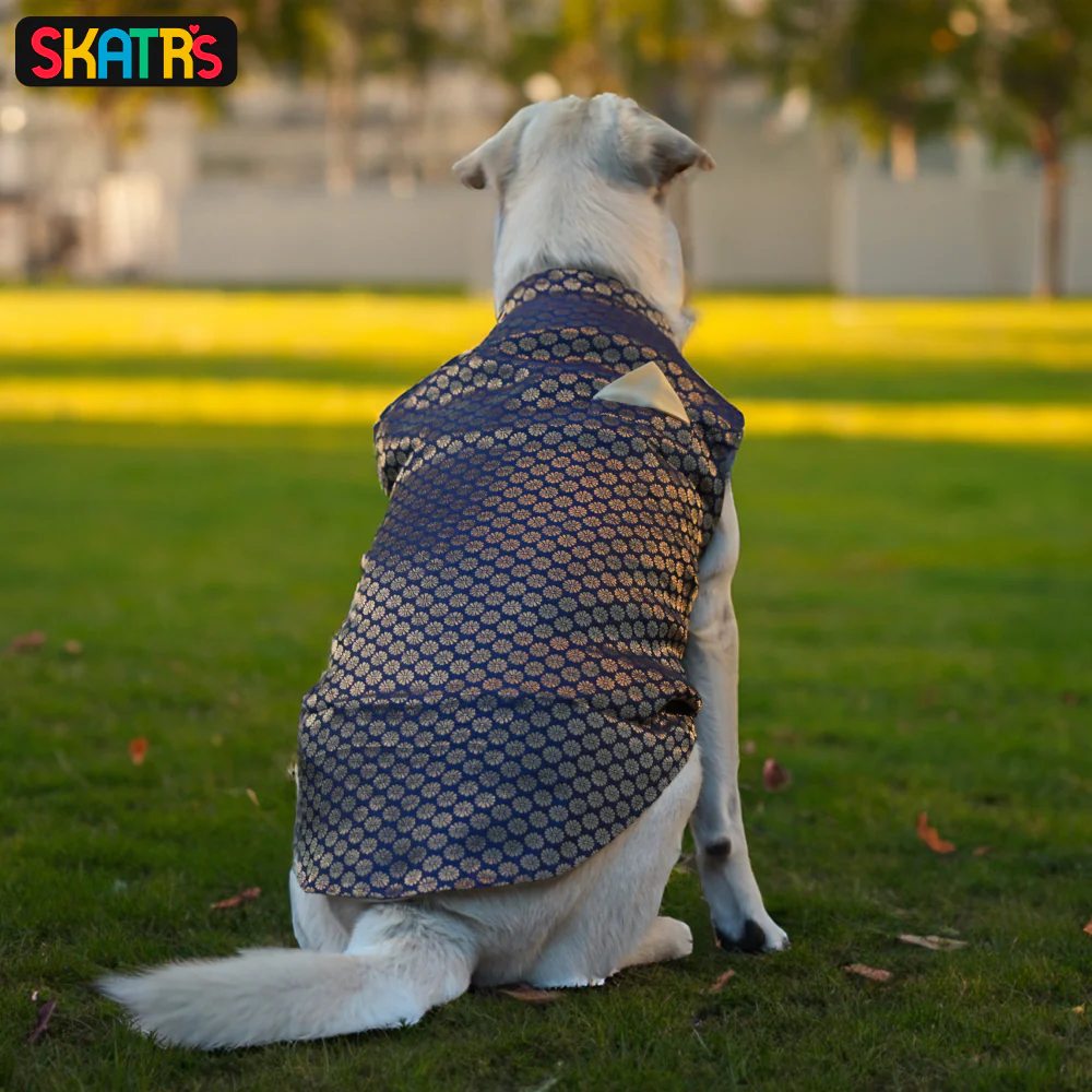 Skatrs Brocade Gold Printed Sherwani for Dogs and Cats (Blue) - Image 7