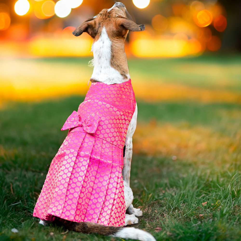 Skatrs Brocade Gold Printed Dress for Dogs and Cats (Pink) - Image 2