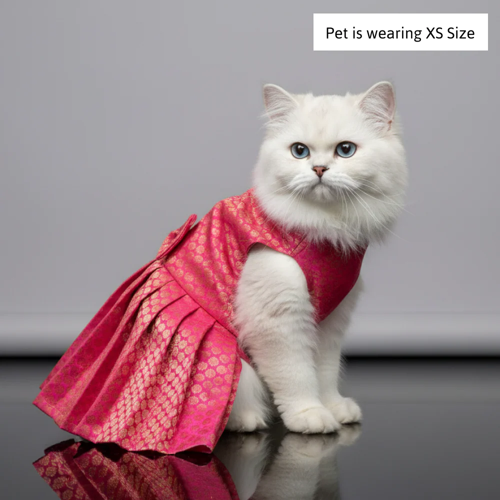 Skatrs Brocade Gold Printed Dress for Dogs and Cats (Pink) - Image 3