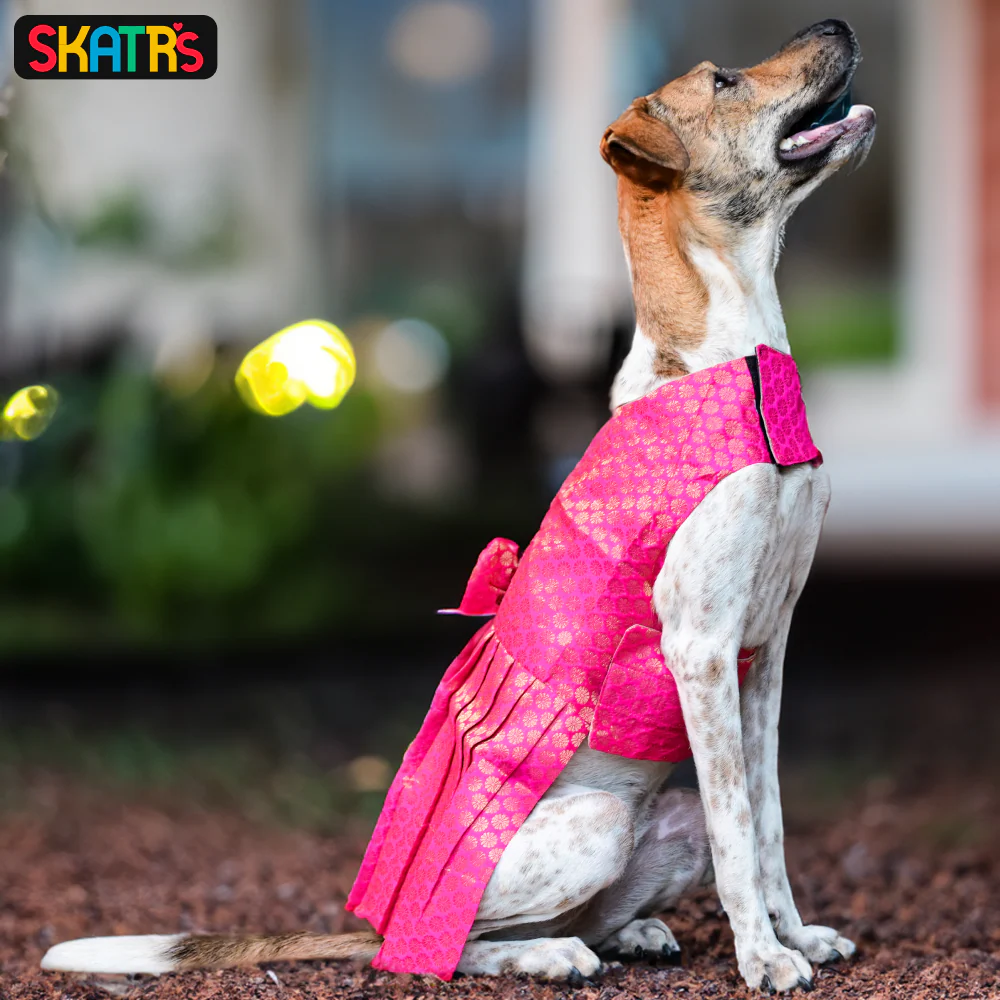 Skatrs Brocade Gold Printed Dress for Dogs and Cats (Pink) - Image 4