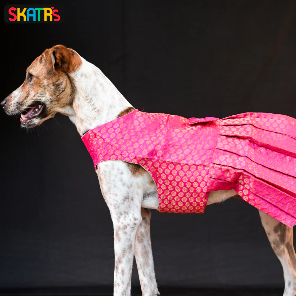 Skatrs Brocade Gold Printed Dress for Dogs and Cats (Pink) - Image 5