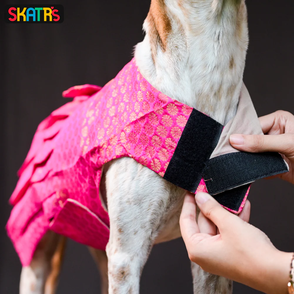 Skatrs Brocade Gold Printed Dress for Dogs and Cats (Pink) - Image 6