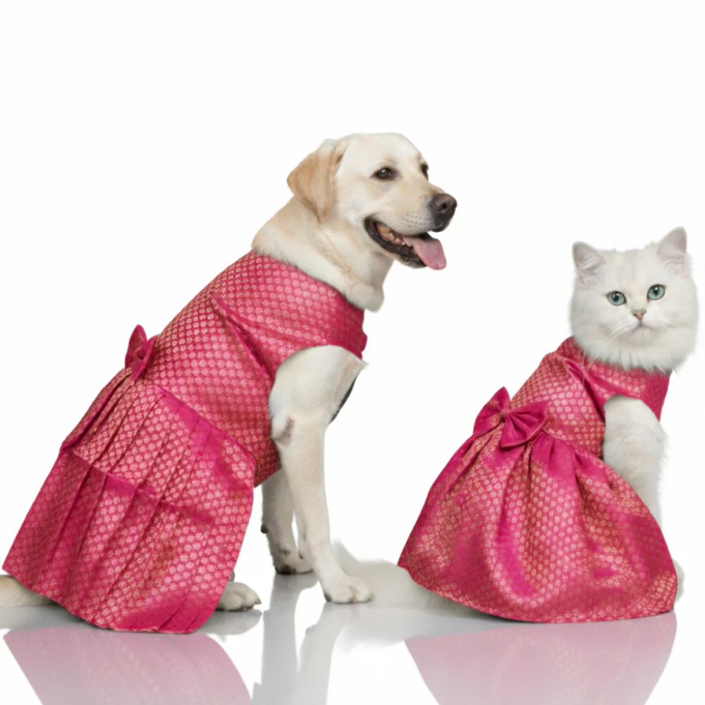 Skatrs Brocade Gold Printed Dress for Dogs and Cats (Pink) - Image 8