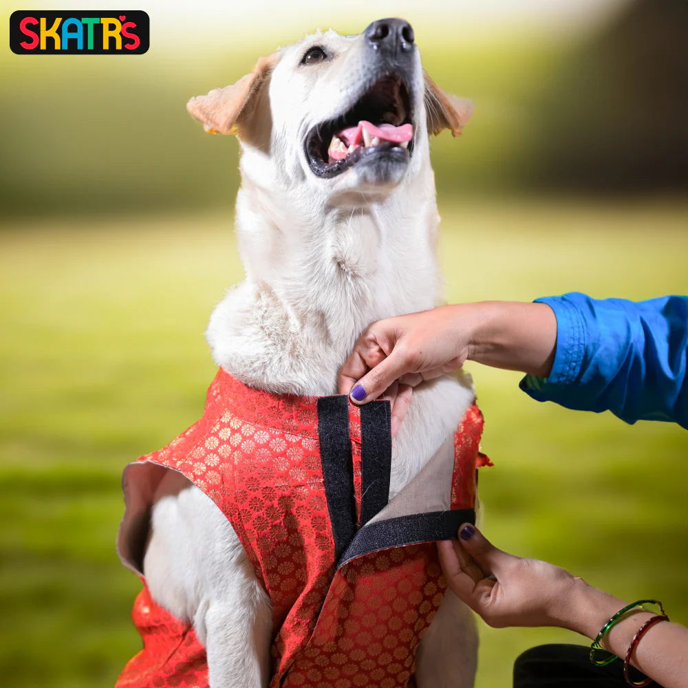Skatrs Brocade Gold Printed Sherwani for Dogs and Cats (Red) - Image 4