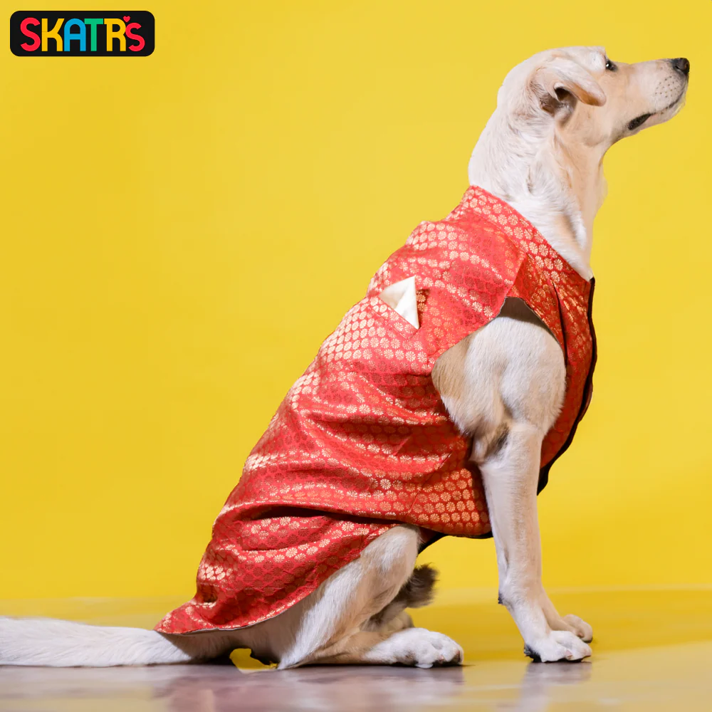Skatrs Brocade Gold Printed Sherwani for Dogs and Cats (Red) - Image 5