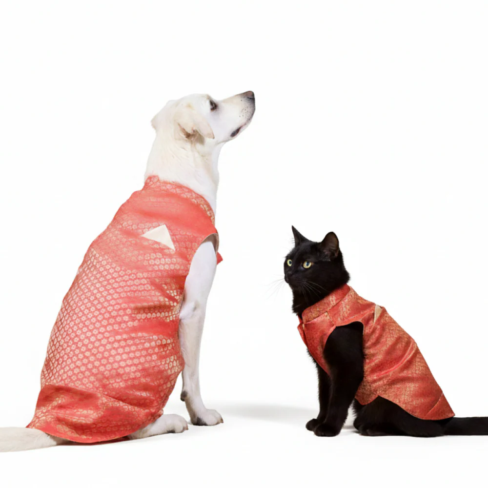 Skatrs Brocade Gold Printed Sherwani for Dogs and Cats (Red) - Image 7