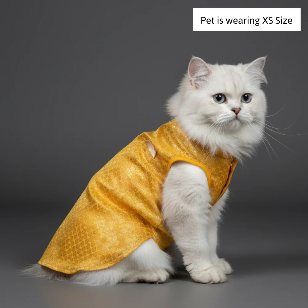 Skatrs Brocade Gold Printed Sherwani for Dogs and Cats (Yellow) - Image 3