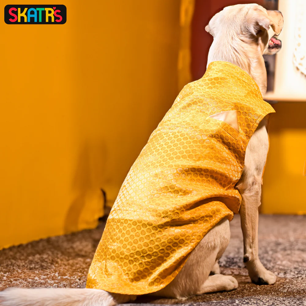 Skatrs Brocade Gold Printed Sherwani for Dogs and Cats (Yellow) - Image 4