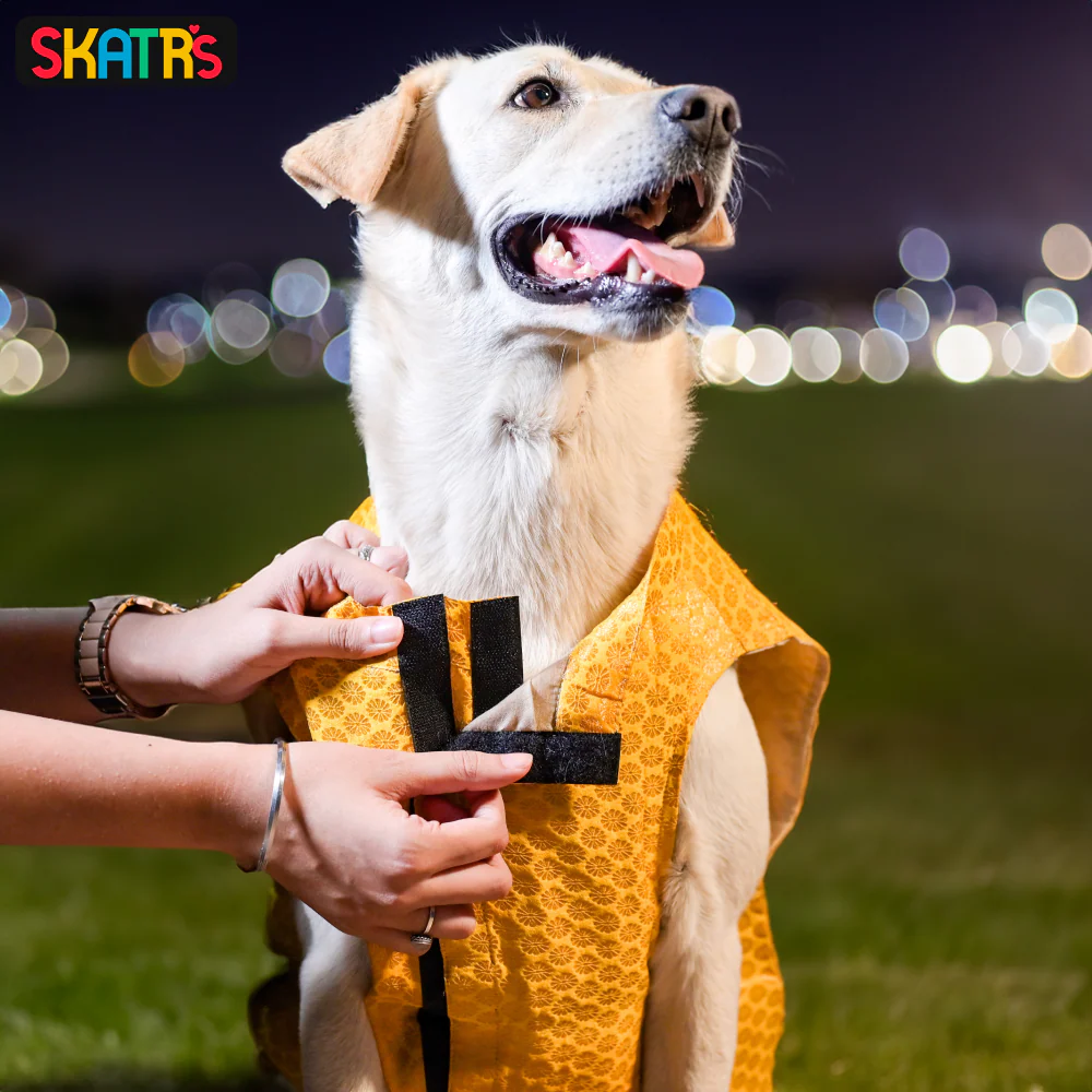 Skatrs Brocade Gold Printed Sherwani for Dogs and Cats (Yellow) - Image 5