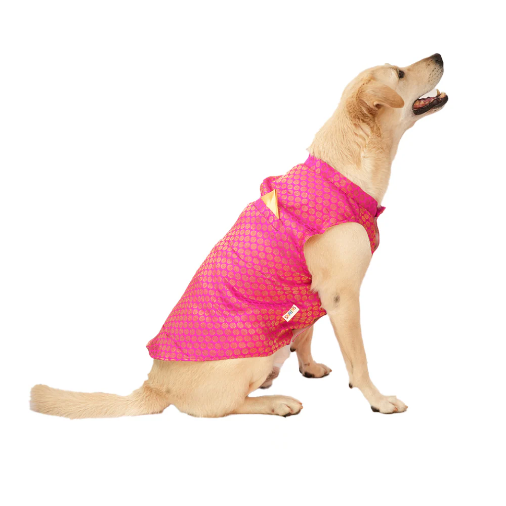 Skatrs Brocade Gold Printed Sherwani for Dogs and Cats (Pink) - Image 11