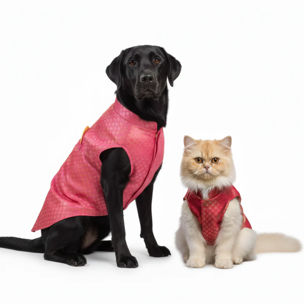 Skatrs Brocade Gold Printed Sherwani for Dogs and Cats (Pink) - Image 15