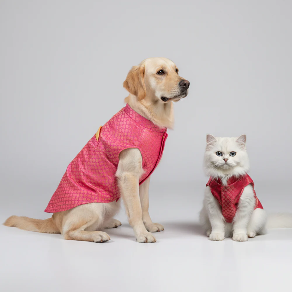 Skatrs Brocade Gold Printed Sherwani for Dogs and Cats (Pink) - Image 2