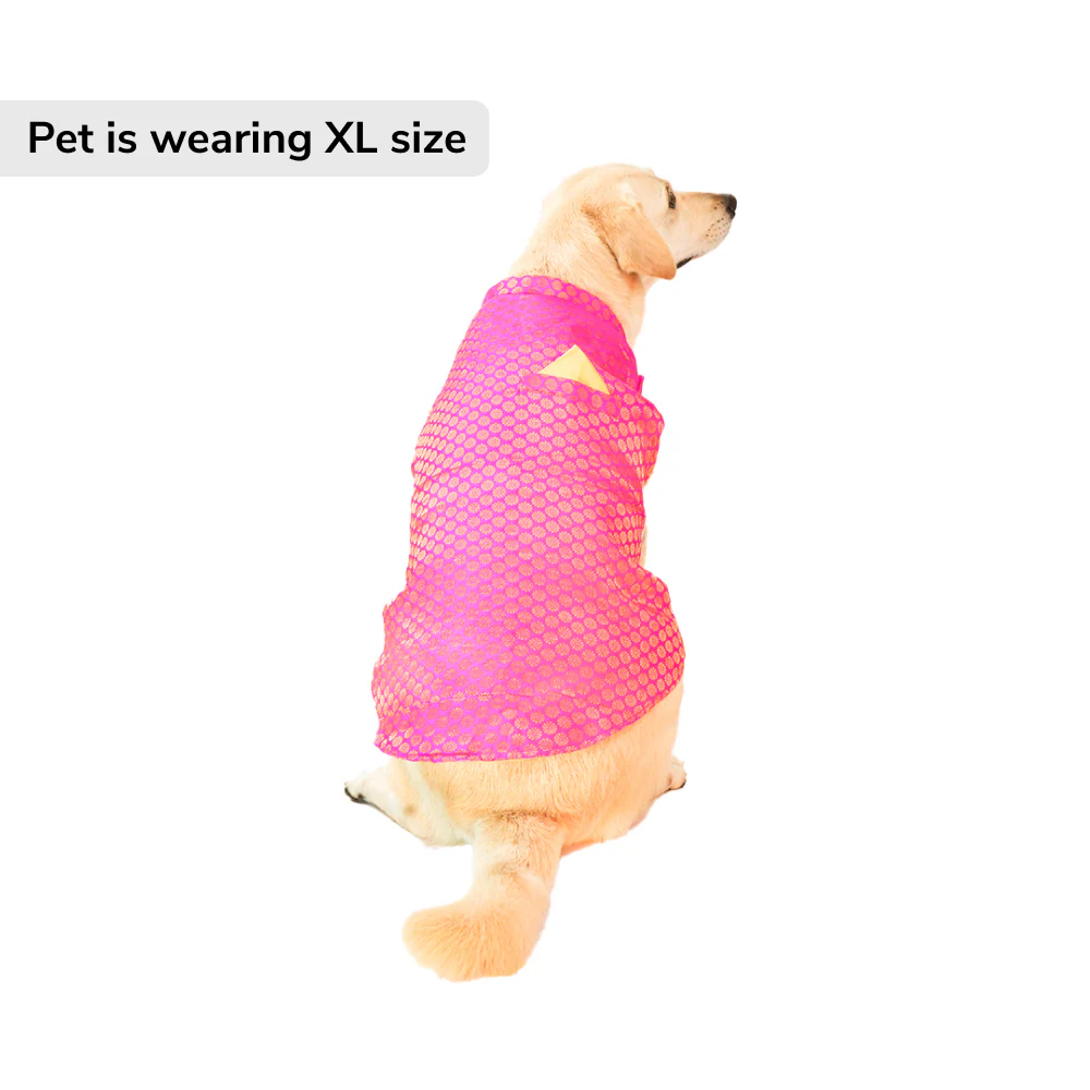 Skatrs Brocade Gold Printed Sherwani for Dogs and Cats (Pink) - Image 4