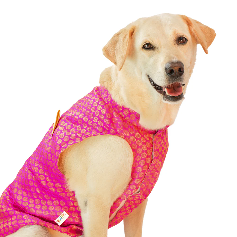Skatrs Brocade Gold Printed Sherwani for Dogs and Cats (Pink) - Image 5