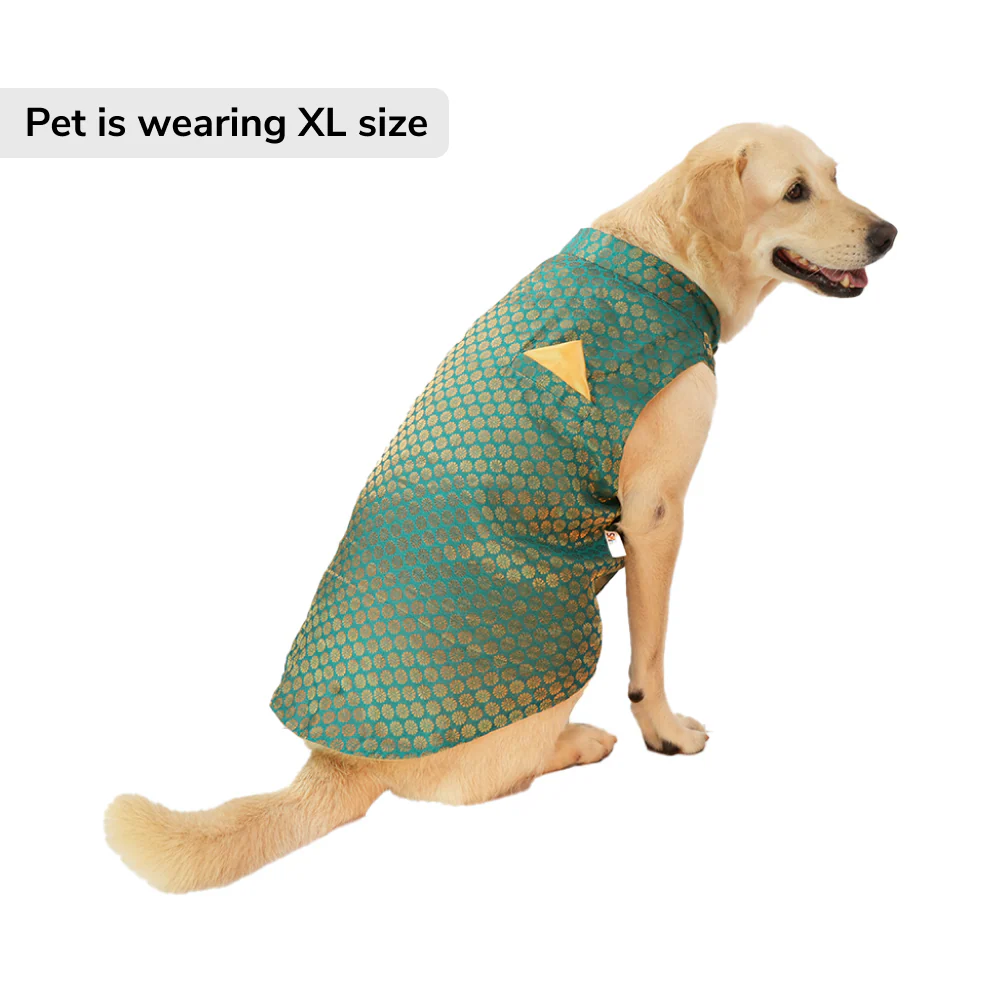 Skatrs Brocade Gold Printed Sherwani for Dogs and Cats (Teal) - Image 4